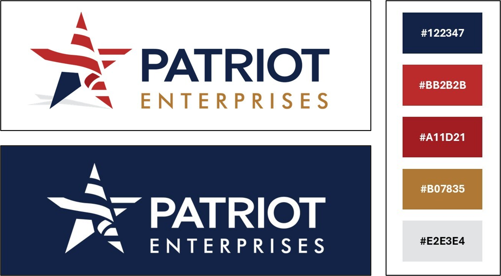 Patriot Enterprises brand color palette